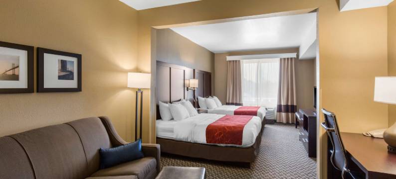 锡福德舒适全套房酒店(Comfort Suites)图片