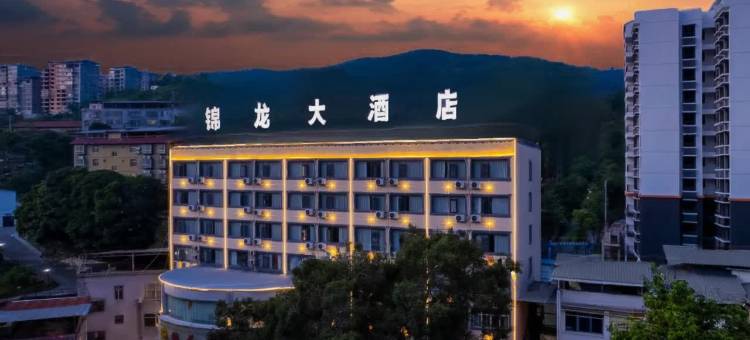 田林锦龙大酒店图片