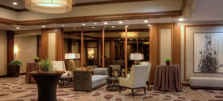 休斯顿威斯契斯希尔顿酒店(Hilton Houston Westchase)图片