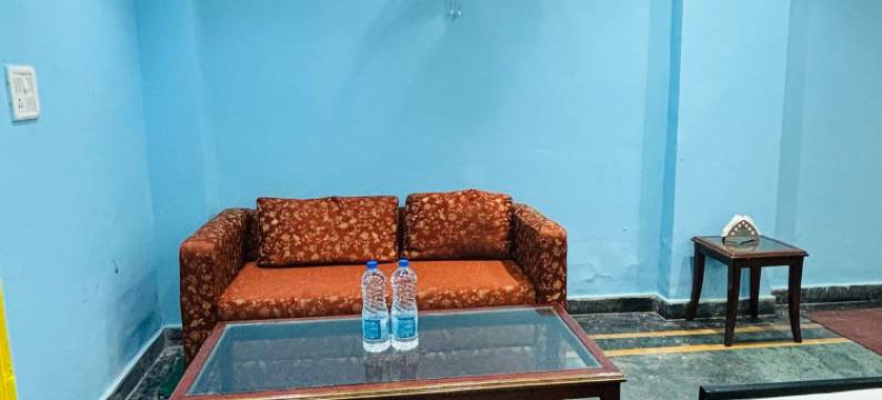 豪华湖景酒店(Hotel Lake Inn - A Luxury Lake View Hotel)图片