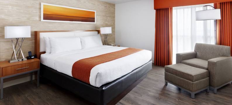Holiday Inn 圣安东尼奥，RIVERWALK(Holiday Inn SAN ANTONIO-RIVERWALK by IHG)图片