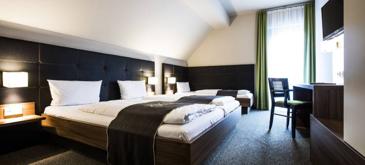 魏森霍恩里库酒店(RiKu Hotel Weißenhorn)图片