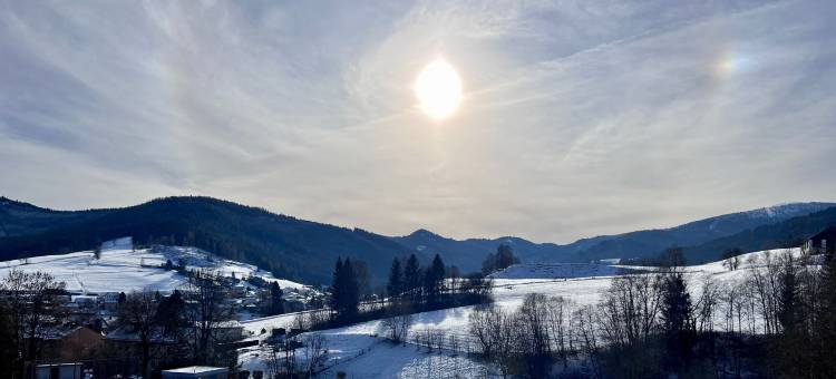 兰布雷希特旅馆(Pension Lambrecht)图片