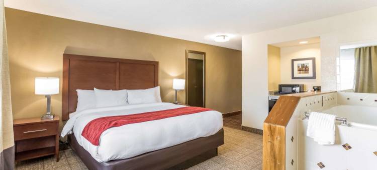 舒适酒店(Comfort Inn)图片