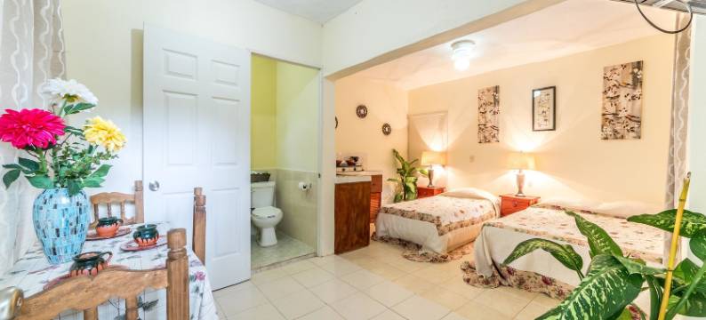 马杨别墅酒店(Mayan Villas Hotel)图片