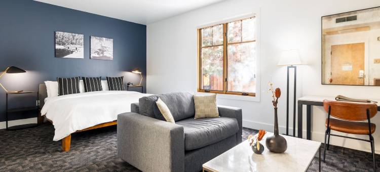 Truckee-Tahoe的引力房子(Gravity Haus Truckee)图片