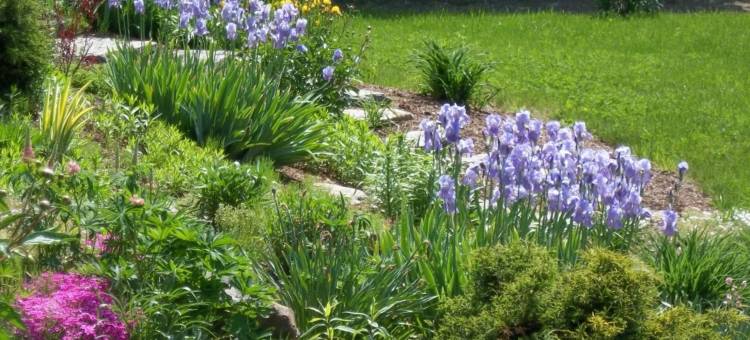 卡普陶普住宿加早餐旅馆(Coppertoppe Inn & Retreat Center)图片