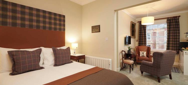 唐赖特加布勒(Downright Gabbler)图片