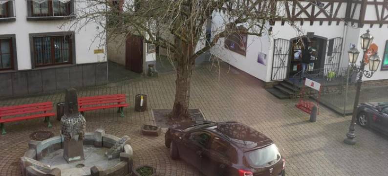 维恩豪斯格列伯餐厅酒店(Hotel-Restaurant Weinhaus Grebel)图片