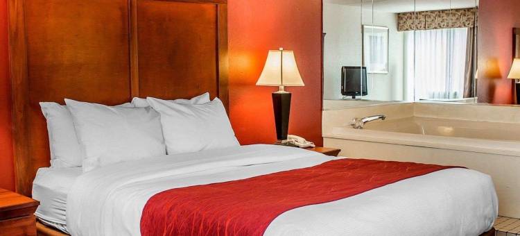凯艺酒店(Quality Inn)图片