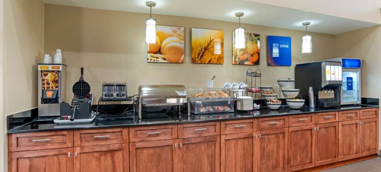 大学区舒适酒店(Comfort Inn University Area)图片