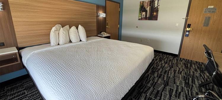 杰克森维尔酒店及套房(Jacksonville Inn & Suites)图片