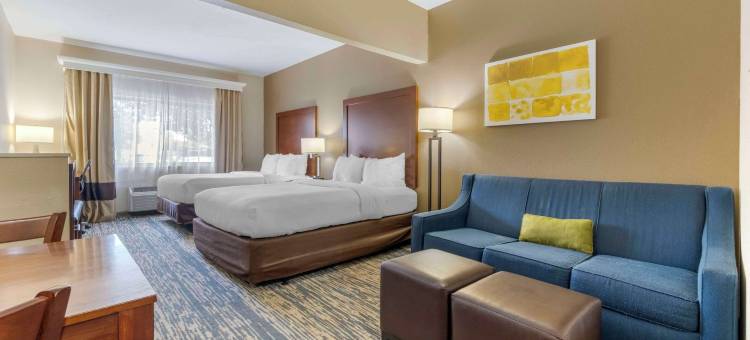 基兰舒适套房酒店(Comfort Suites Keeneland)图片