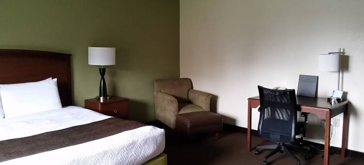 大急流城美吟温德姆酒店(AmericInn by Wyndham Grand Rapids)图片