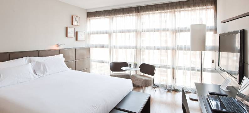 佩德罗尼拉女王酒店(Hotel Reina Petronila)图片
