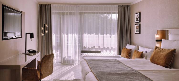 巴登巴登莱昂纳多皇家酒店(Leonardo Royal Hotel Baden-Baden)图片