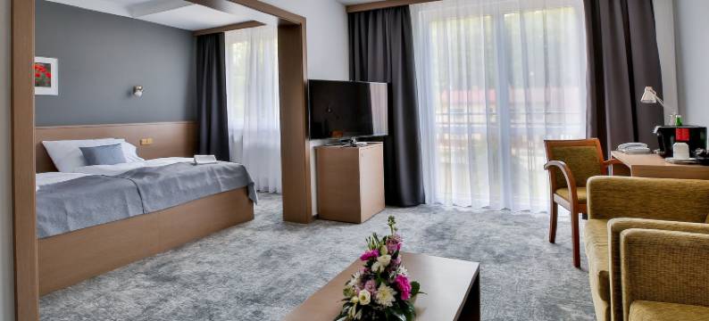 赫卢博卡河畔公园酒店(LH Parkhotel Hluboka Nad Vltavou Congress & Wellness)图片