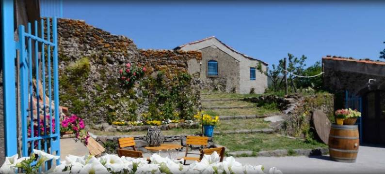 塔纳切托酒店(Il Tanaceto)图片