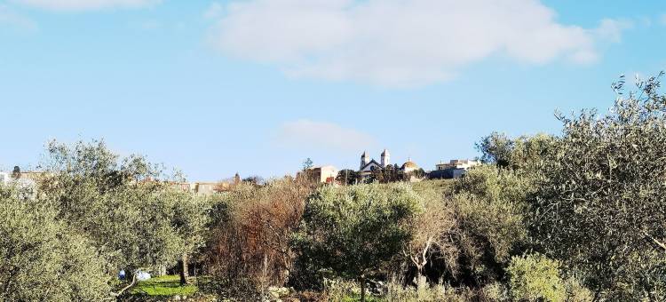 奥利维的法院(La Corte Degli Ulivi - Albergo Rurale)图片