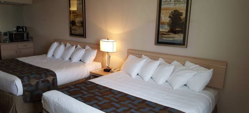 埃尔科希洛酒店(Shilo Inn Elko)图片