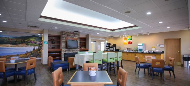 布恩 - 大学区凯艺套房酒店(Quality Inn & Suites Boone - University Area)图片