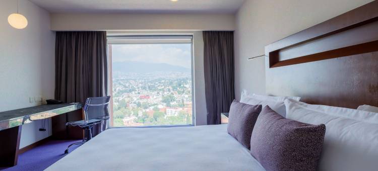 佩德雷加尔卡米诺里尔酒店(Camino Real Pedregal Mexico)图片