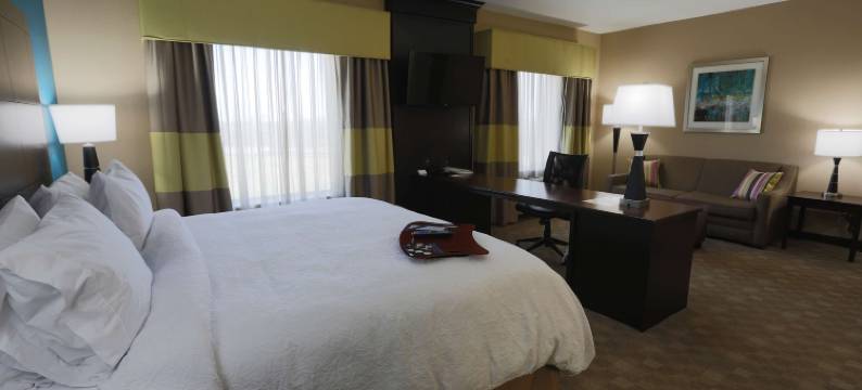 希尔顿欢朋套房酒店-密苏里城(Hampton Inn & Suites Missouri City)图片