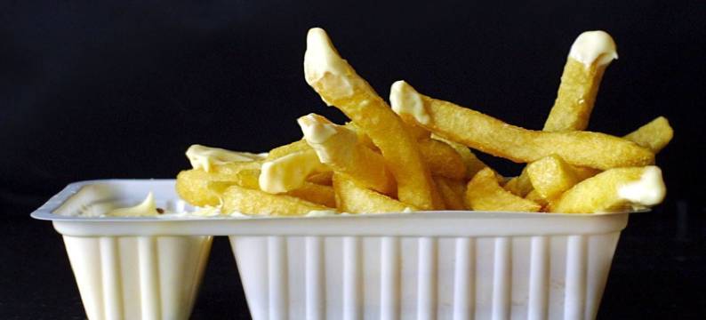 斯蒂 23 号酒店(Stee 23)图片