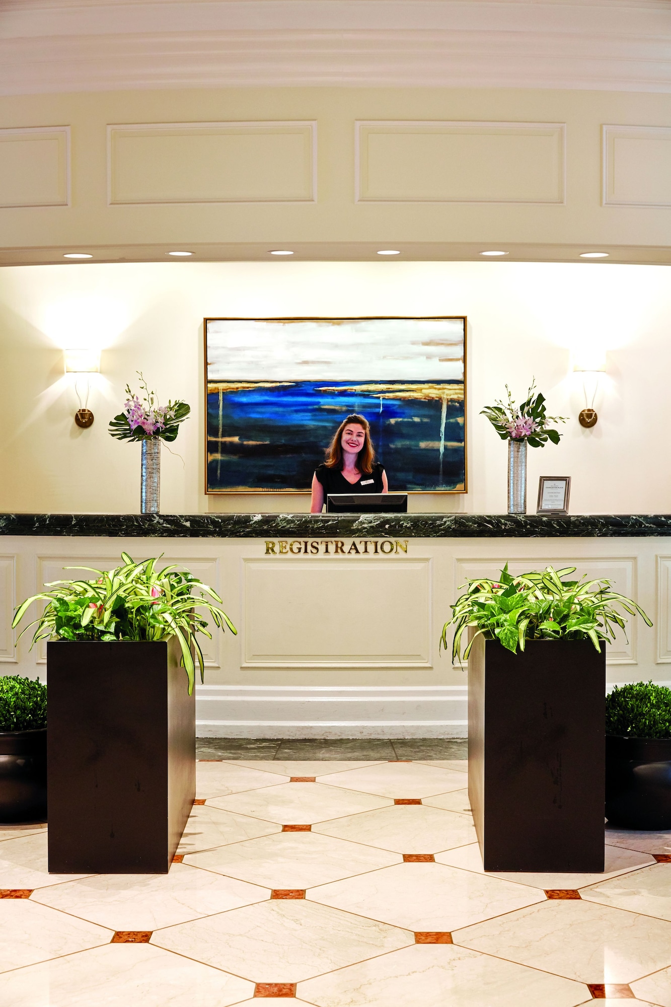 The Charleston Place Over view