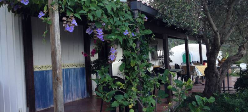 西西里花园酒店(Giardino di Sicilia)图片