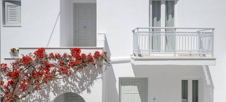 纳克索斯岛艾维利昂酒店(Naxos Evilion Luxury Apartments & Suites)图片