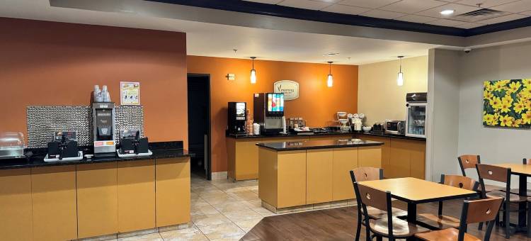 麦迪逊 - 莫诺纳美茵斯坦套房酒店(MainStay Suites Madison - Monona)图片