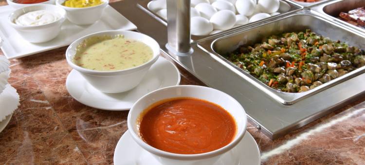 安妮叶里温大酒店(Ani Grand Hotel Yerevan)图片