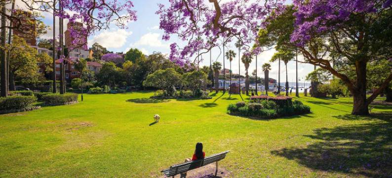 卡纳文旅馆(Carnarvon Lodge Kirribilli, Sydney)图片