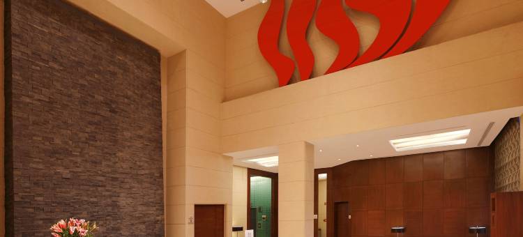 新德里萨凯特希尔顿花园酒店(Hilton Garden Inn New Delhi/Saket)图片