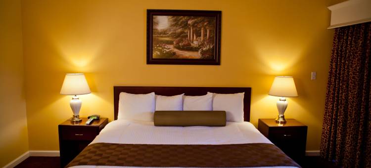 马鞍酒店(Hotel Saddleback Los Angeles - Norwalk)图片