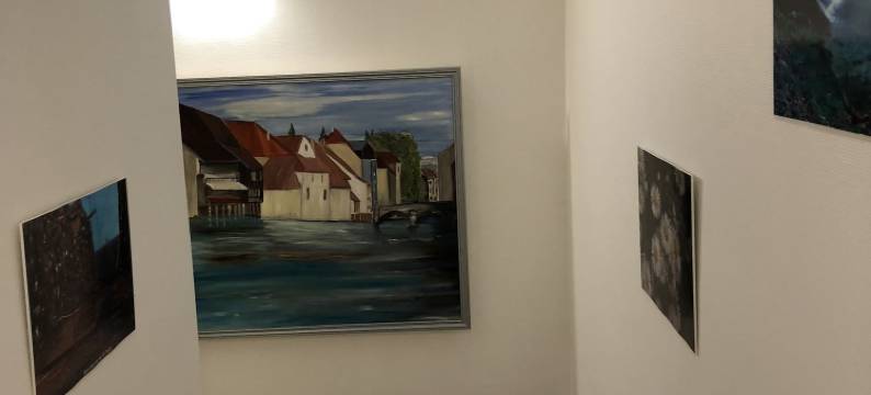 利斯田野酒店(Le Champ des Lys)图片