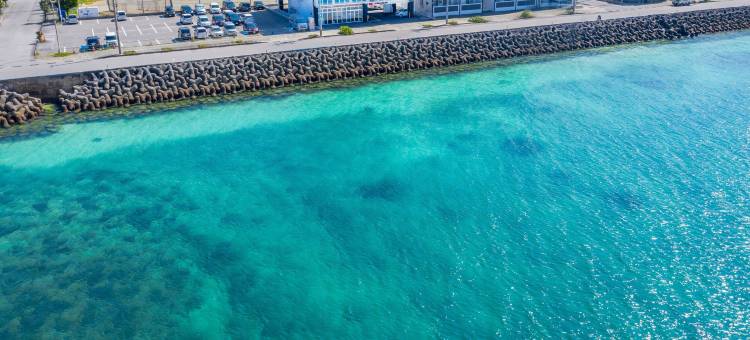 Mr.KINJO in MOTOBU OCEAN TERRACE(Mr.KINJO in MOTOBU OCEAN TERRACE)图片