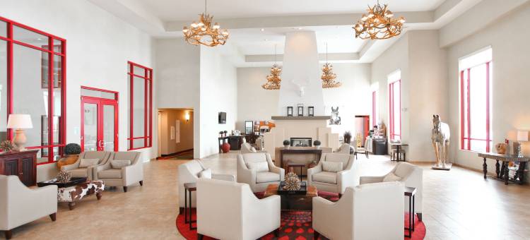 北奥拉西智选假日酒店及套房(Holiday Inn Express & Suites OLATHE NORTH by IHG)图片