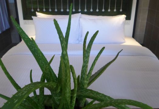 Sennya Resorts Hotel Overview