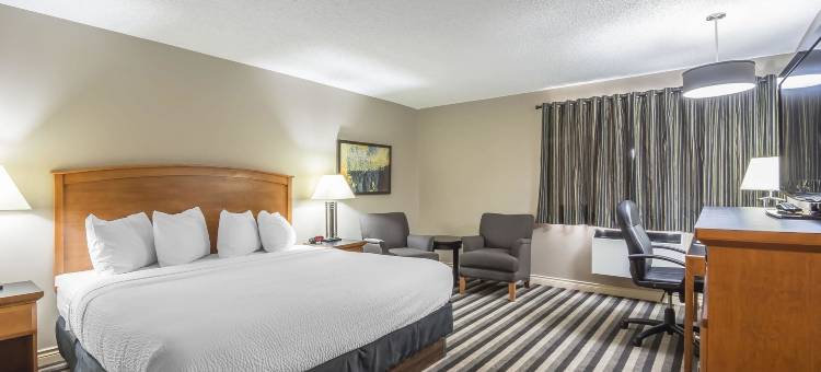西埃德蒙顿凯艺酒店(Quality Inn West Edmonton)图片