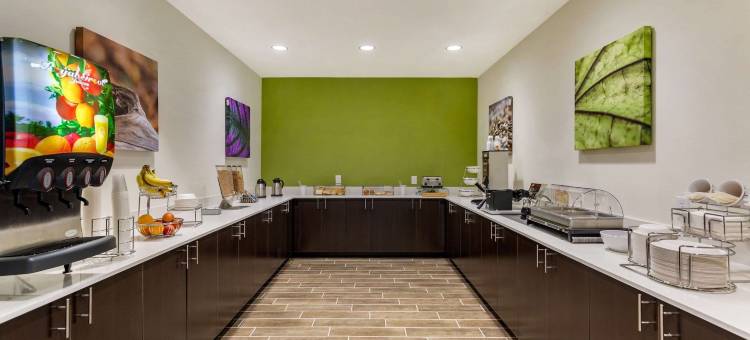 加拉廷 - 纳许维尔地铁舒眠套房酒店(Sleep Inn & Suites Gallatin - Nashville Metro)图片