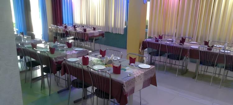 Hotel Aryan International图片