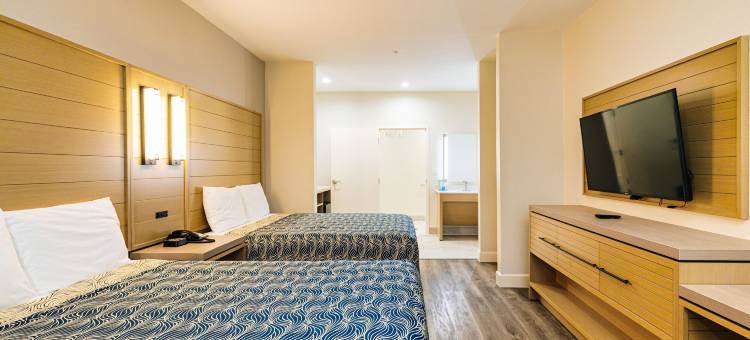 蓝宫酒店东IAH(Palace Inn Blue IAH East)图片