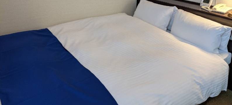 Ichinomiya City Hotel图片