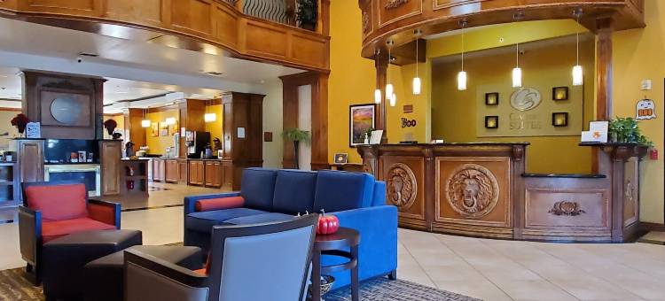 舒适套房酒店(Comfort Suites Bay City)图片