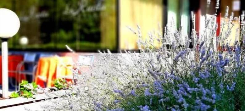 拉鲁塔酒店(La Ruota)图片