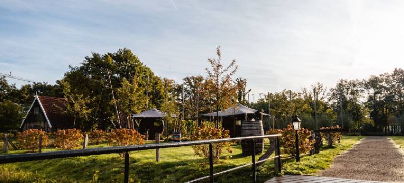 奥斯玛Herberg(Othmar Herberg)图片