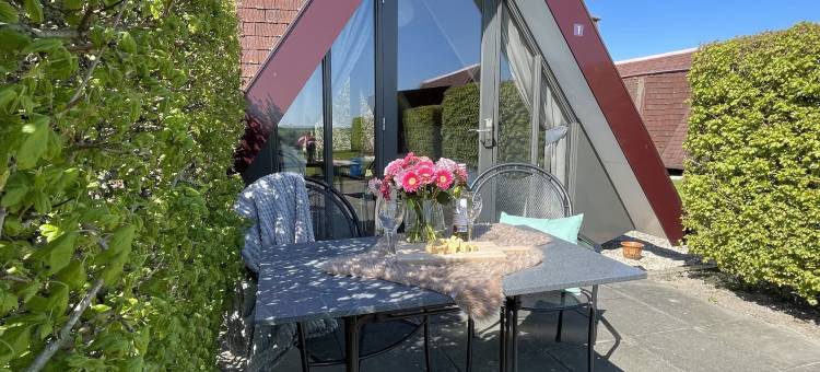 Hotelhuisjes 安代克酒店(Hotelhuisjes Andijk)图片