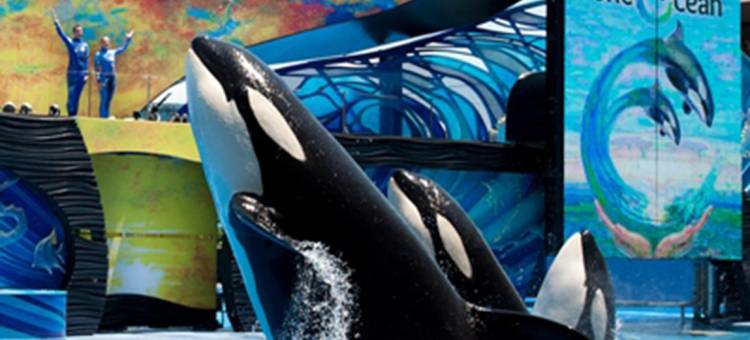 圣迭戈海洋世界豪生酒店(Howard Johnson by Wyndham San Diego Sea World)图片